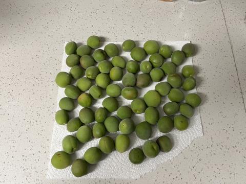 washplum