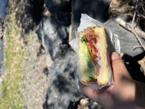 Maricopa W/Avo