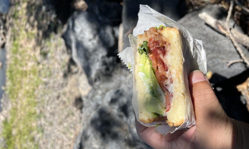 Maricopa W/Avo